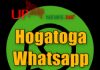 Hogatoga whatsapp