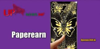 Paperearn whatsapp tracker