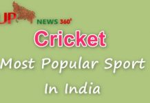 Why Cricket Is the Most Popular Sport In India