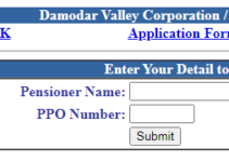 DVC Portal Login for Consumer & Employee [DVC Pension Portal]