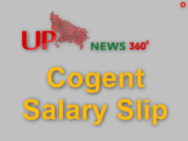 Cogent Salary Slip