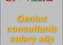 Genius Consultants Salary Slip 2024