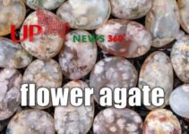 Flower Agate Properties Meaning & Benefits [Complete Guide]