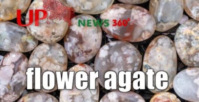 Flower Agate Properties Meaning & Benefits [Complete Guide]