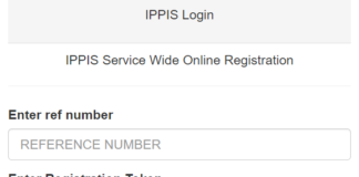 IPPIS Loan