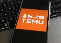 Here are 3 Ways to Know if Temu is For You