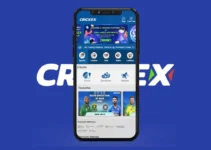 Detailed Analysis of the Best Betting App – Crickex Mobile App