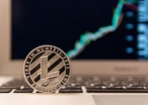 Sell Litecoin (LTC) to Visa and MasterCard Cards
