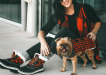 How to Create a Matching Outfit for You and Your Dog (Because Why Not?)