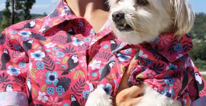 How to Create a Matching Outfit for You and Your Dog (Because Why Not?)