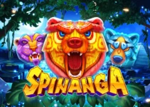 What Slot to Play at Spinanga Casino ─ Types of Slots & Features