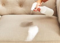 How to Clean a Stained Couch – Tips for Removing Marks and Odors How to Clean a Stained Couch – Tips for Removing Marks and Odors